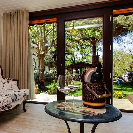 Hotel Park Mandalin - Adult Only Ağva