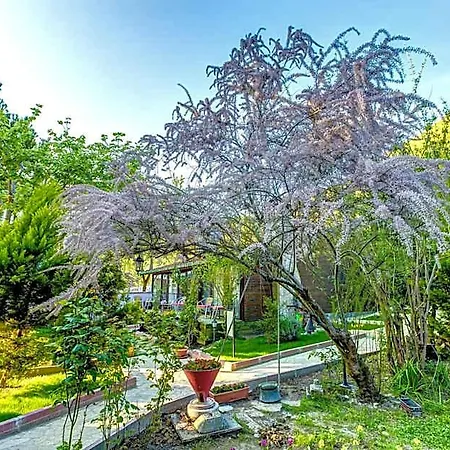 מלון Park Mandalin - Adult Only 3*
