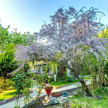 Ξενοδοχείο Park Mandalin - Adult Only 3*
