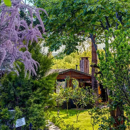 Park Mandalin - Adult Only Hotel