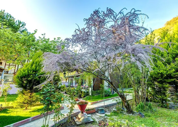 فندق Park Mandalin - Adult Only 3*